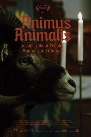 Animus Animalis (istorija apie žmones, žvėris ir daiktus)