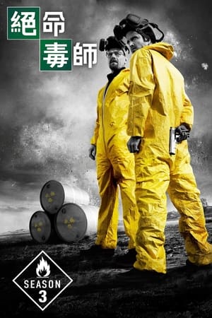 绝命毒师第 3 季