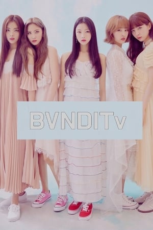 BVNDITv