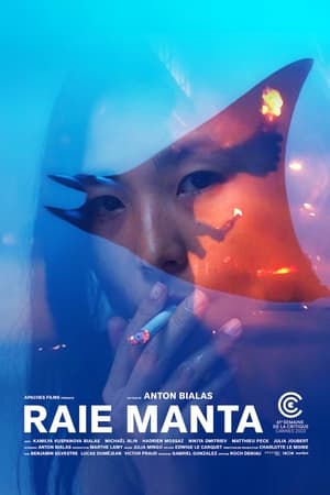 Raie Manta