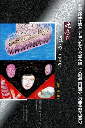 魂遊び　ほうこう