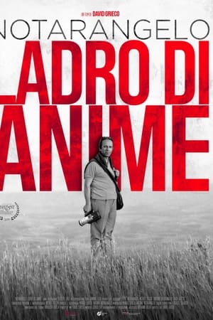 Notarangelo ladro di anime