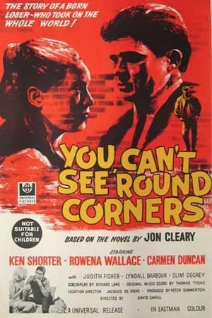 You Can't See 'round Corners
