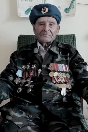 Война и мир рядового Литвина