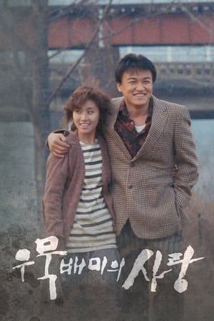 短暂爱情事件