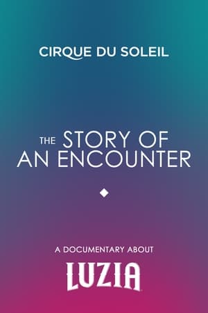 The Story Of An Encounter