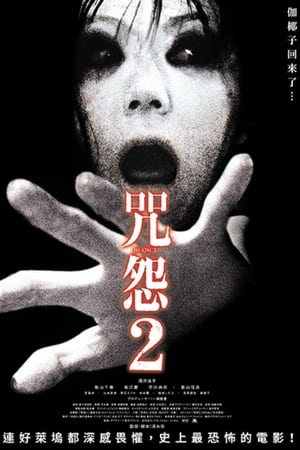 咒怨2