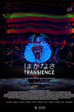 Transience