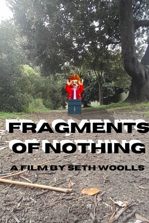 Fragments Of Nothing