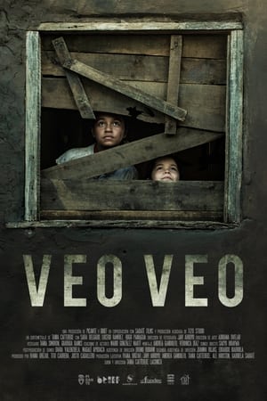 Veo, Veo