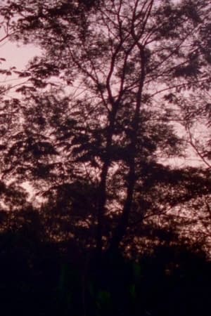 Merapi