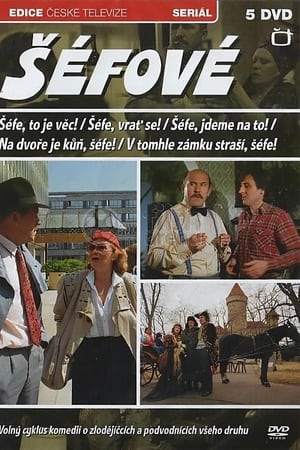 Na dvoře je kůň, šéfe