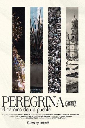 Peregrina el camino de un pueblo