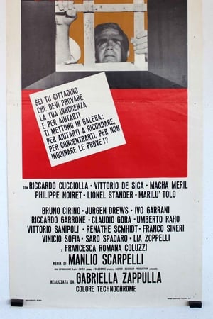 Siamo tutti in libertà provvisoria