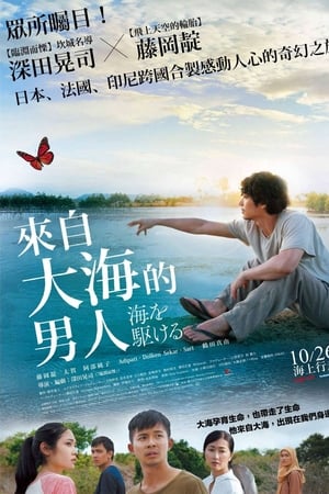 奔向大海