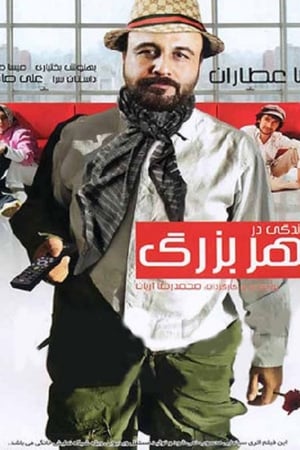 ‏زندگی در شهر بزرگ