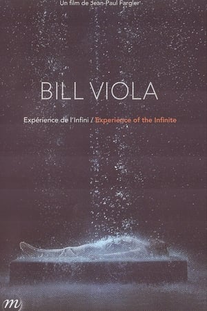 Bill Viola, expérience de l'infini
