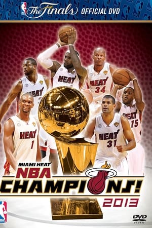 2013 NBA Finals