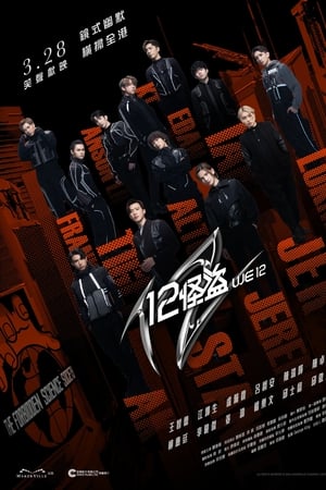 12怪盜