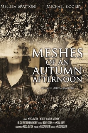 Meshes of an Autumn Afternoon