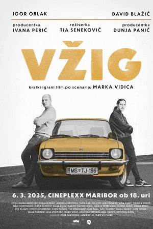 Vžig