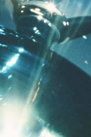 安価なワイン・グラスを用いて光について考察するフィルム。