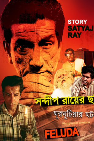 ঘুরঘুটিয়ার ঘটনা