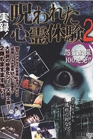 実録！呪われた心霊体験２ 怨霊激撮100連発!!