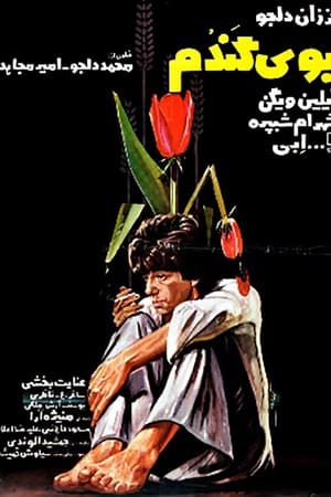 بوی گندم