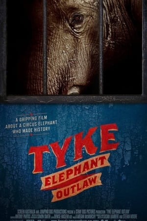 Tyke Elephant Outlaw