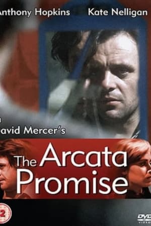 The Arcata Promise