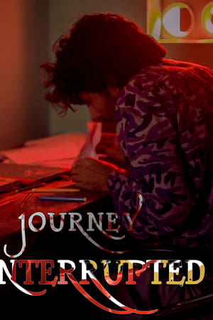 Journey Interrupted