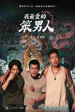 我最爱的笨男人
