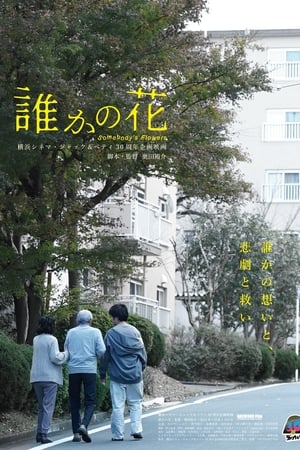 某个人的花