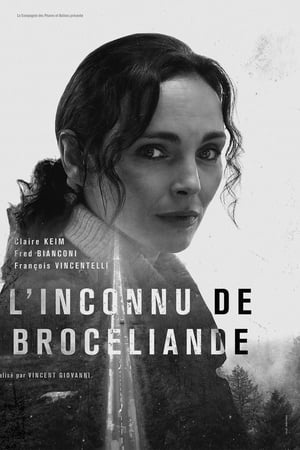 L'Inconnu de Brocéliande