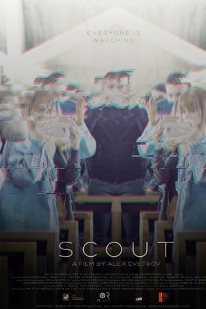 Scout