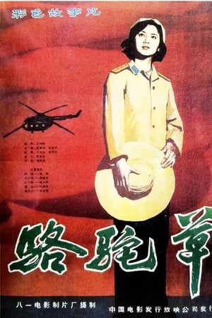 骆驼草
