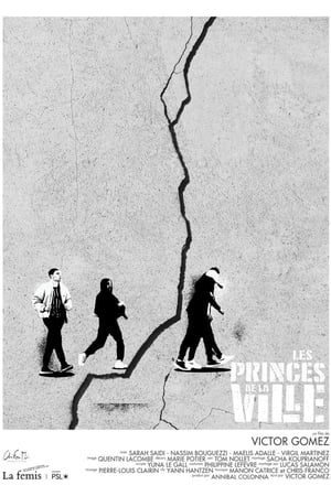 Les princes de la ville