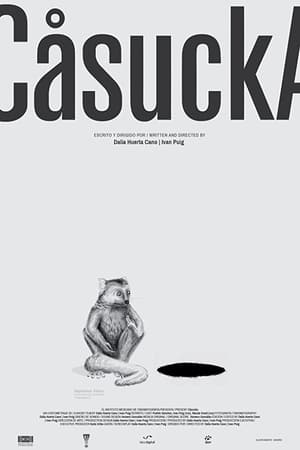Cåsucka