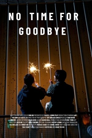 No Time For Goodbye