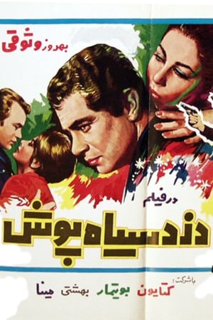 دزد سیاه‌پوش