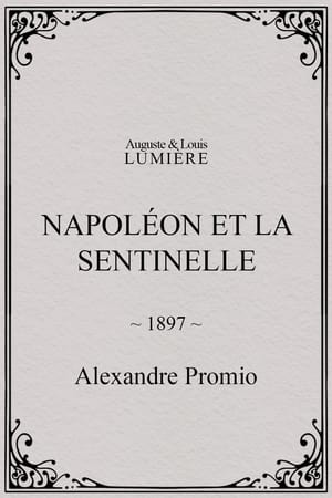 Napoléon et la sentinelle