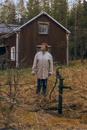 Konsten att städa