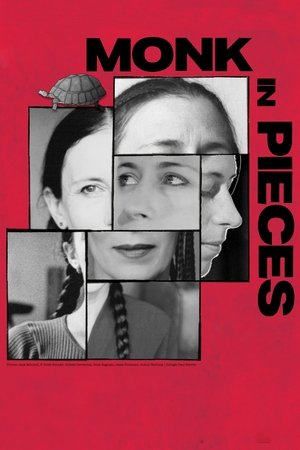 Monk in Pieces