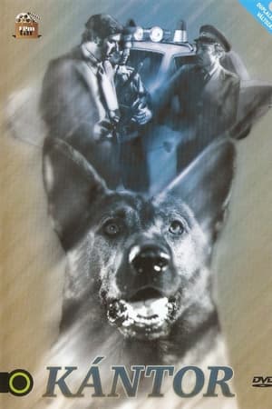 Kántor