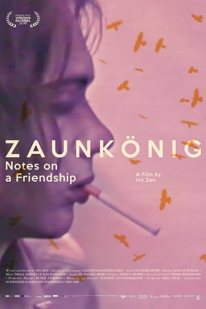 Zaunkönig: Tagebuch einer Freundschaft
