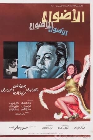 الأضواء