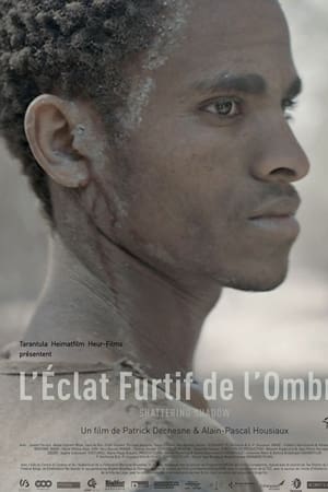 L'éclat furtif de l'ombre