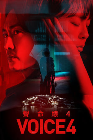 声命线审判时间