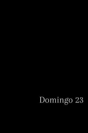 Domingo 23